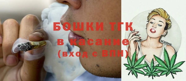 шишки Аркадак