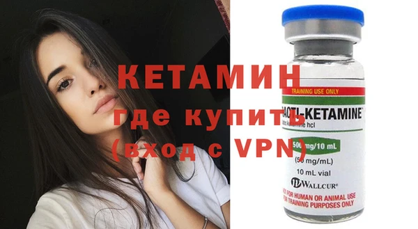 шишки Аркадак