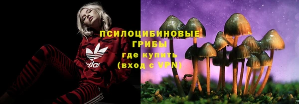 гидра Липки