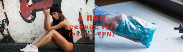 шишки Аркадак