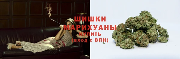 шишки Аркадак