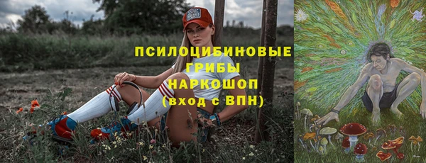 шишки Аркадак