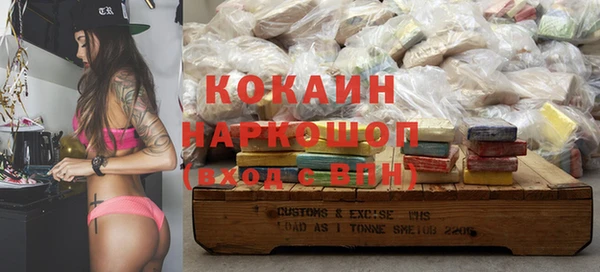 шишки Аркадак