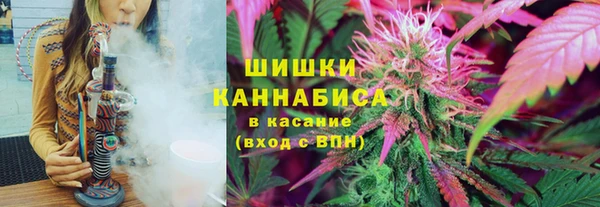 шишки Аркадак