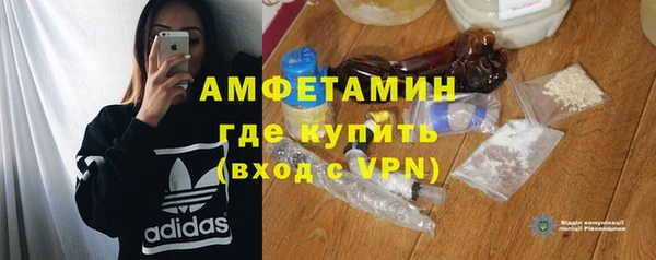 шишки Аркадак