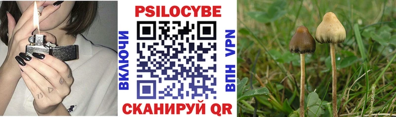 Псилоцибиновые грибы Psilocybine cubensis  Артёмовский 