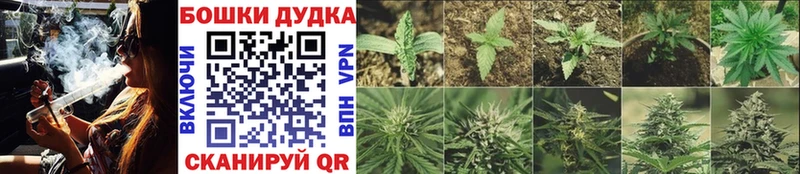 где продают   blacksprut как войти  МАРИХУАНА Ganja  Артёмовский 
